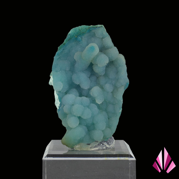 Chrysocolle du Congo Ref486