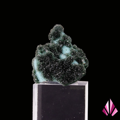 Chrysocolle quartzite malachite primaire Ref489