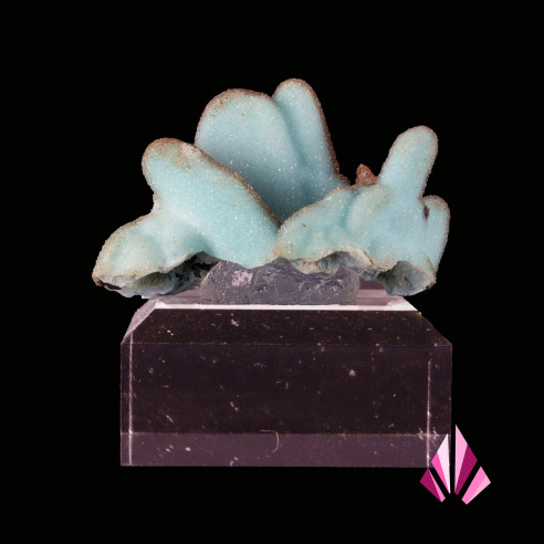 Chrysocolle Quartzite Congo Ref491