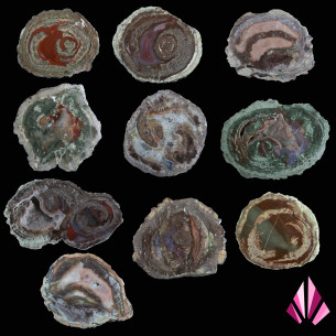 Lithophyses à choisir