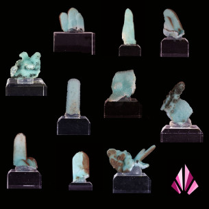 Chrysocolles à choisir
