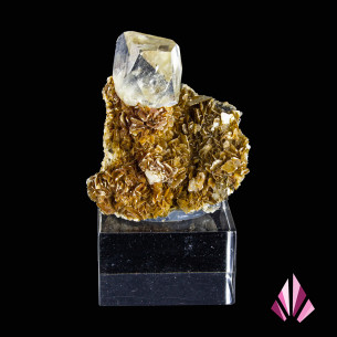 Topaze sur gangue du Brésil, cristal clair sur matrice brun doré