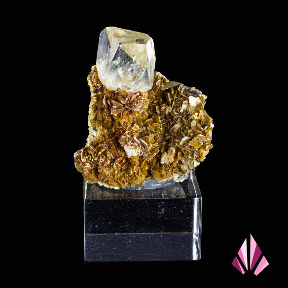 Topaze sur gangue du Brésil, cristal clair sur matrice brun doré
