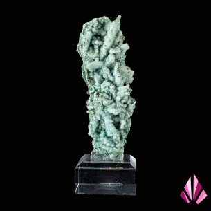Chrysocolle de la RD Congo Ref553