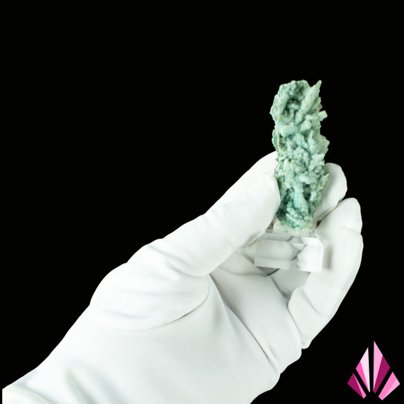 Chrysocolle de la RD Congo Ref553 présentée en main