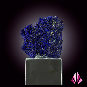 Azurite de Kolwezi, RD Congo, avec microcristaux de malachite sur socle
