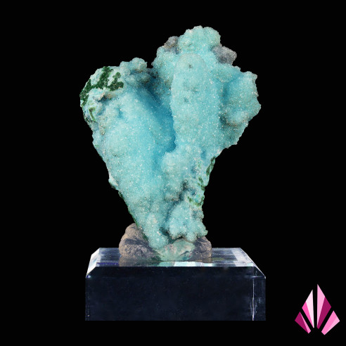 Chrysocolle Quartzite Malachite Ref494