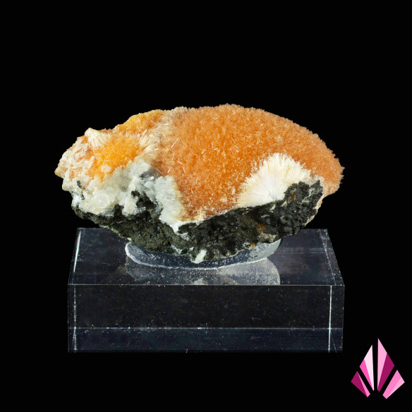 Thomsonite Poona Inde Ref564
