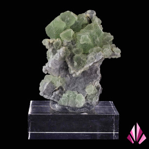Fluorine sur quartz - Hunan, Chine | Ref580