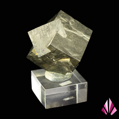 Pyrite – macle cubique, Navajún (Espagne)