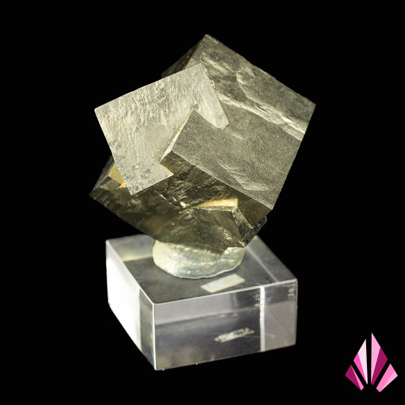 Pyrite – macle cubique, Navajún (Espagne)