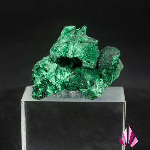 Malachite for Sale – DR Congo | Ref. 589 on Le Monde Minéral