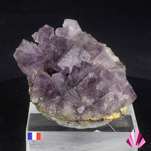 Fluorine violette - France  Ancienne collection - (#592)