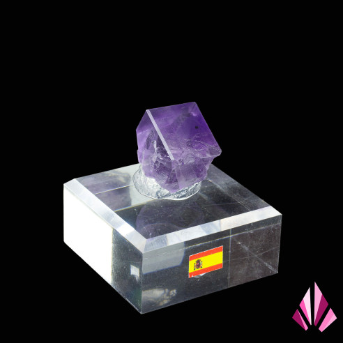 Fluorine violette - Berbes, Espagne (#594)