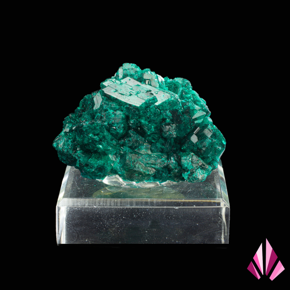 Dioptase - Katanga, DR Congo displayed on base (#601)