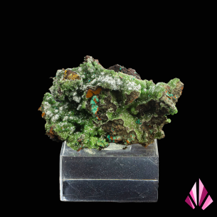 Conichalcite & Aurichalcite -RD Congo présentée sur socle (#600)