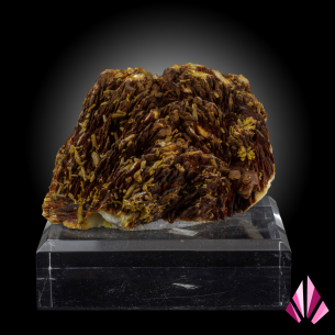 Pyromorphite on baryte from Les Farges Mine, dark brown to nearly black crystallisation on acrylic base