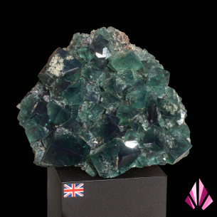 Fluorine verte de Diana Maria, Angleterre, cristaux cubiques photographiés en studio 2