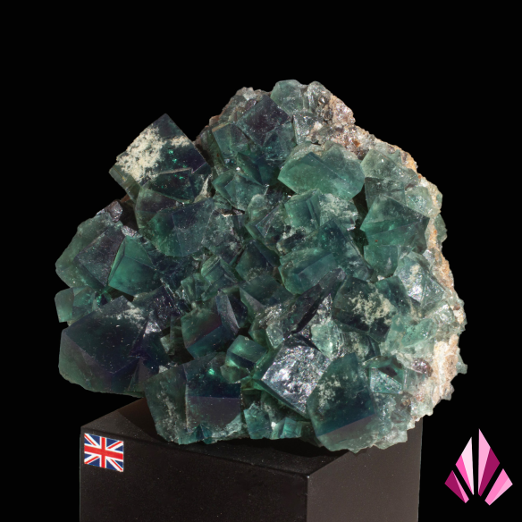 Fluorine verte de Diana Maria, Angleterre, vue oblique depuis le côté opposé en lumière naturelle