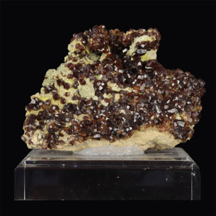Red-brown garnets from Hunan, China, numerous crystals on pale matrix