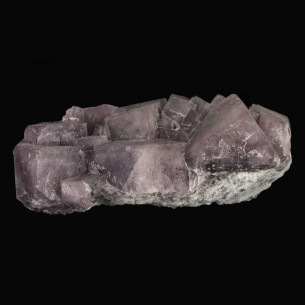 Fluorine cumberland Angleterre ancienne collection