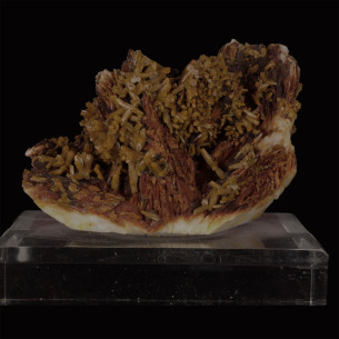 Pyromorphite jaune-brun en cristaux prismatiques sur baryte brun-rouge, mine des Farges, France