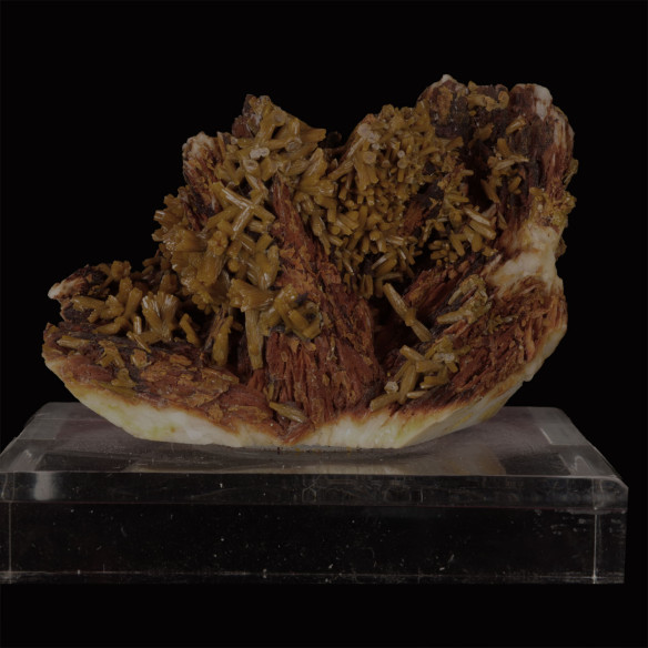 Yellow-brown prismatic pyromorphite crystals on reddish-brown barite from Les Farges Mine, France