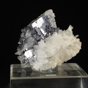 Galena in quartz from Madan, Bulgaria, galena crystals among white to translucent quartz 2