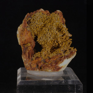 Pyromorphite on baryte from Les Farges Mine, small elongated yellow-brown prismatic crystals