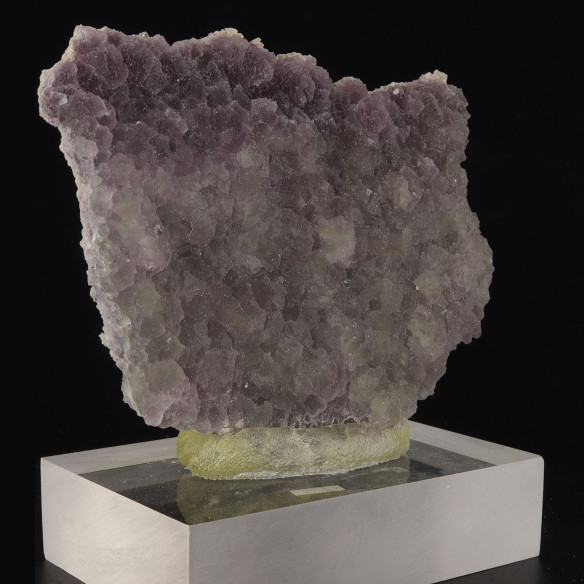 pierre: Fluorine Bulgarie année 2017