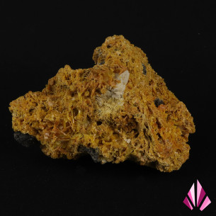 Wulfénite (Maroc)
