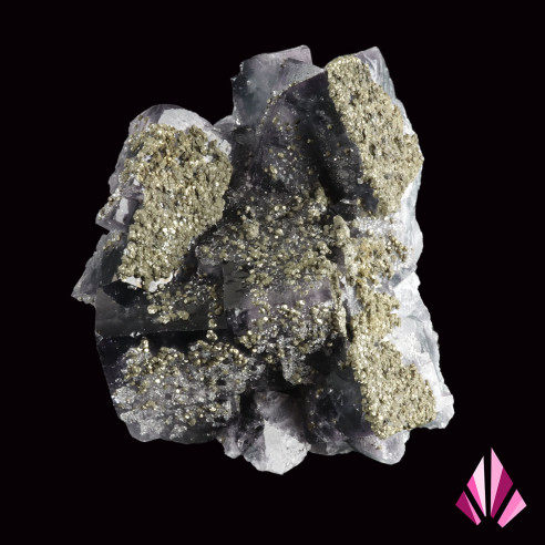 Chalcopyrite sur fluorine extraite de la mine de Jalingo au Nigéria.