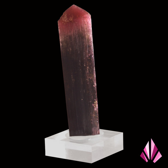 Tourmaline liddicoatite de Madagascar, vue oblique montrant la terminaison et les variations de couleur