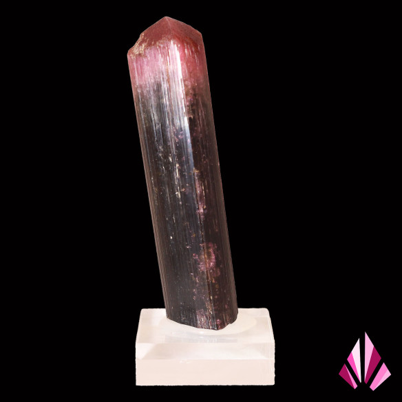 Tourmaline liddicoatite de Madagascar, long cristal prismatique à terminaison rose
