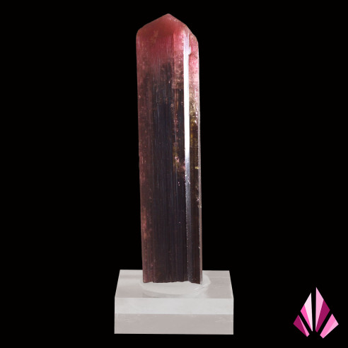 Tourmaline liddicoatite de Madagascar, cristal allongé aux stries longitudinales bien visibles