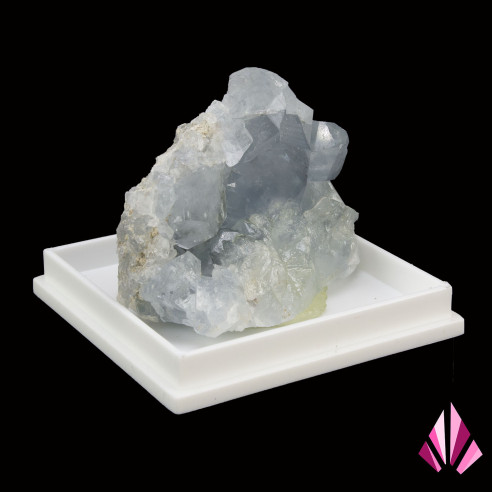 Célestine (LLP-195) :  L:37mm x l:22mm