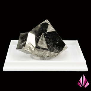Mottled pyrite (LLP-197)