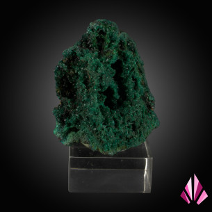 Dioptase sur socle de la République démocratique du Congo (#206)