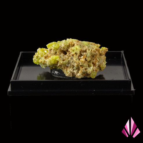 Pyromorphite from Asprières on beige matrix, rear view of the crystallisation