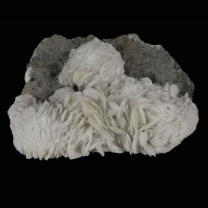 Baryte des Malines, France, cristaux blancs tabulaires en agrégats sur matrice sombre