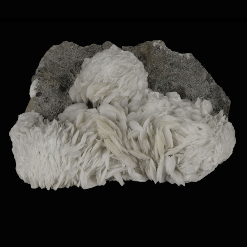 Baryte des Malines, France, cristaux blancs tabulaires en agrégats sur matrice sombre