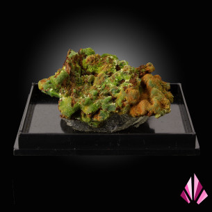 Pyromorphite verte de Saint-Salvy sur gangue sombre avec zones brun-orangé