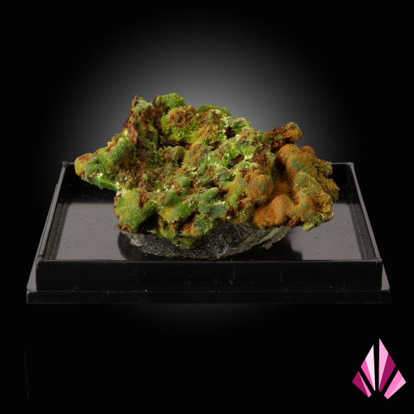 Pyromorphite verte de Saint-Salvy sur gangue sombre avec zones brun-orangé