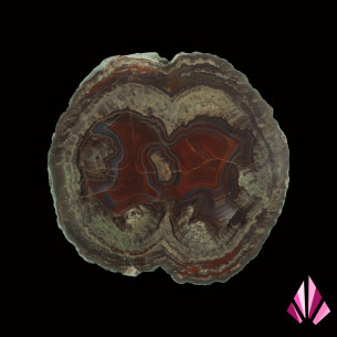Lithophyse - Esterel Massif | Ref. 230