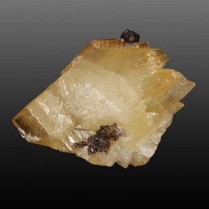 Sphalerite on calcite from Elmwood, USA, dark crystals on large translucent honey-yellow calcite