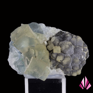 Fluorine (Réf248) avec encroutement de quartz.