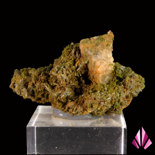 Pyromorphite from France with dense olive-green crystallisation on matrix, rear view 2