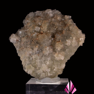 Fluorine Fontsante Var (Réf275)