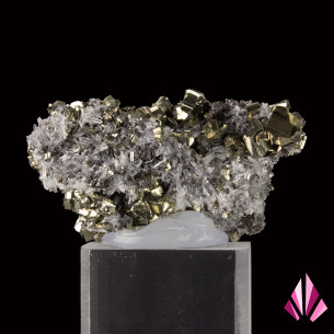 Pyrite sur quartz de Zlatograd, Bulgarie, vue principale des cristaux brillants. 2