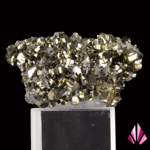 Pyrite sur quartz de Zlatograd, Bulgarie, vue principale des cristaux brillants.